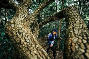 BIB: 
                            <button type="button" onclick="openModal(25394306)" class="btn btn-primary btn-sm float-right btn-popup" data-toggle="modal" data-target=".modal-high-quality">
                        <i class="fas fa-shopping-cart"></i> Add to Cart
                    </button>
                                            <button type="button" onclick="isThisMe(25394306, true)" class="btn btn-success btn-sm float-right btn-popup btn-isme hidden" data-toggle="tooltip" data-placement="bottom" title="นี่คือรูปของคุณใช่ไหม คลิกที่นี่เพื่อเอาเข้าอัลบั้ม">
                        <i class="fas fa-plus"></i> Add to album
                    </button>
                    <button type="button" onclick="isThisMe(25394306, false)" class="btn btn-warning btn-sm float-right btn-popup btn-isnotme hidden">
                        <i class="fas fa-ban"></i> Remove from album
                    </button>